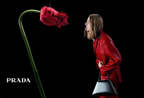 花樣卡迪花花小姐 prada